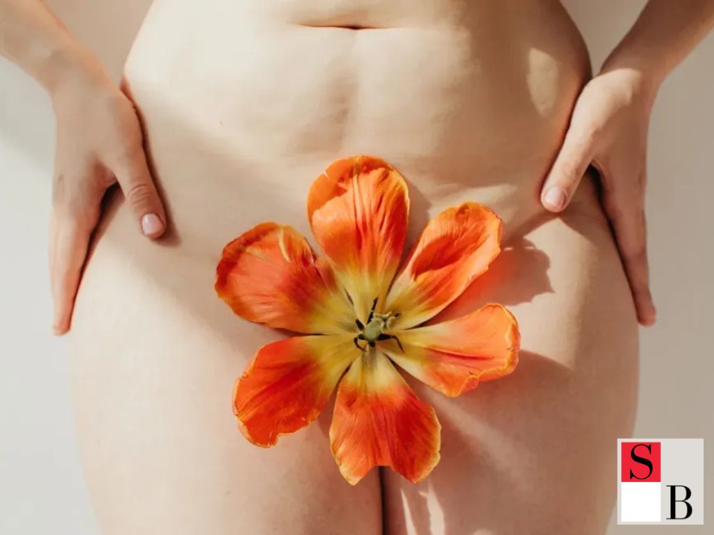 Key Benefits of Moisture Control for Intimate Areas in Singapore
