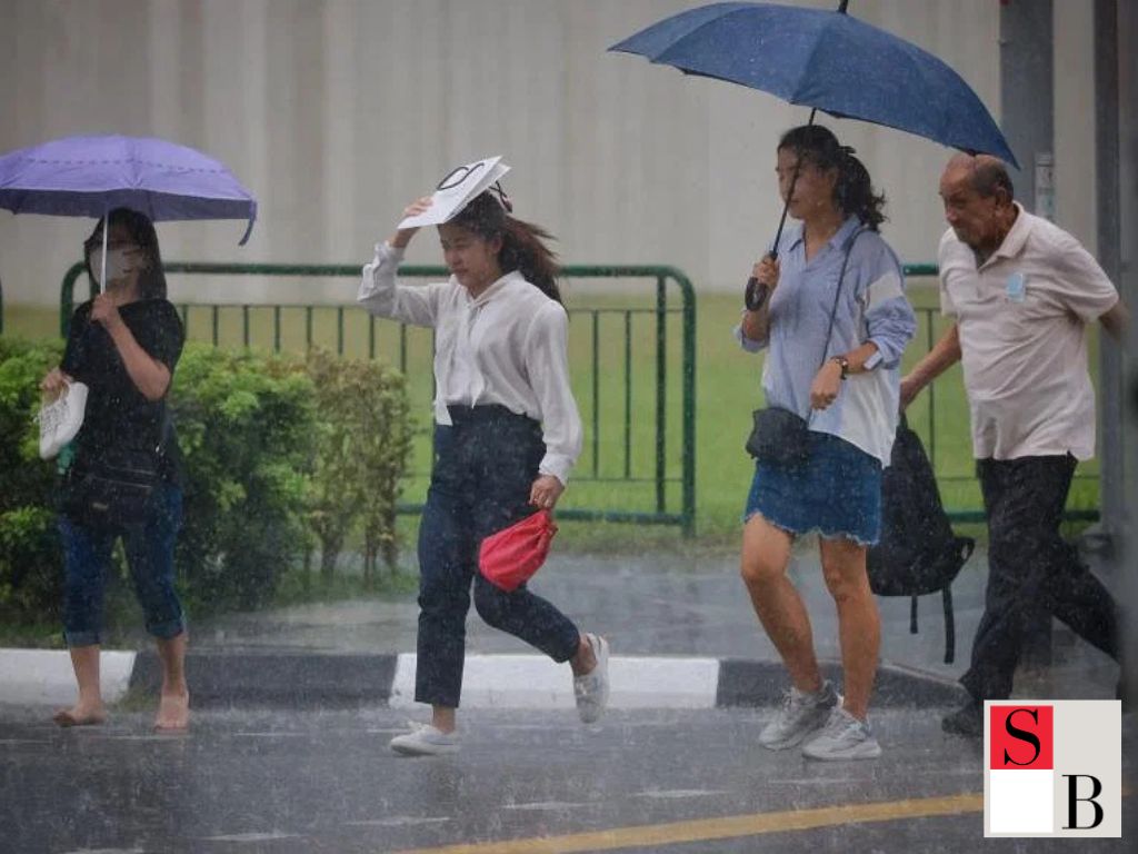 Skincare Ingredients to Avoid During Singapore’s Wet Season