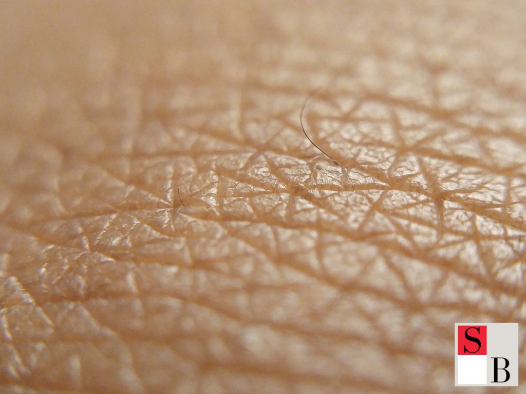 What Really Happens to Our Skin After 30