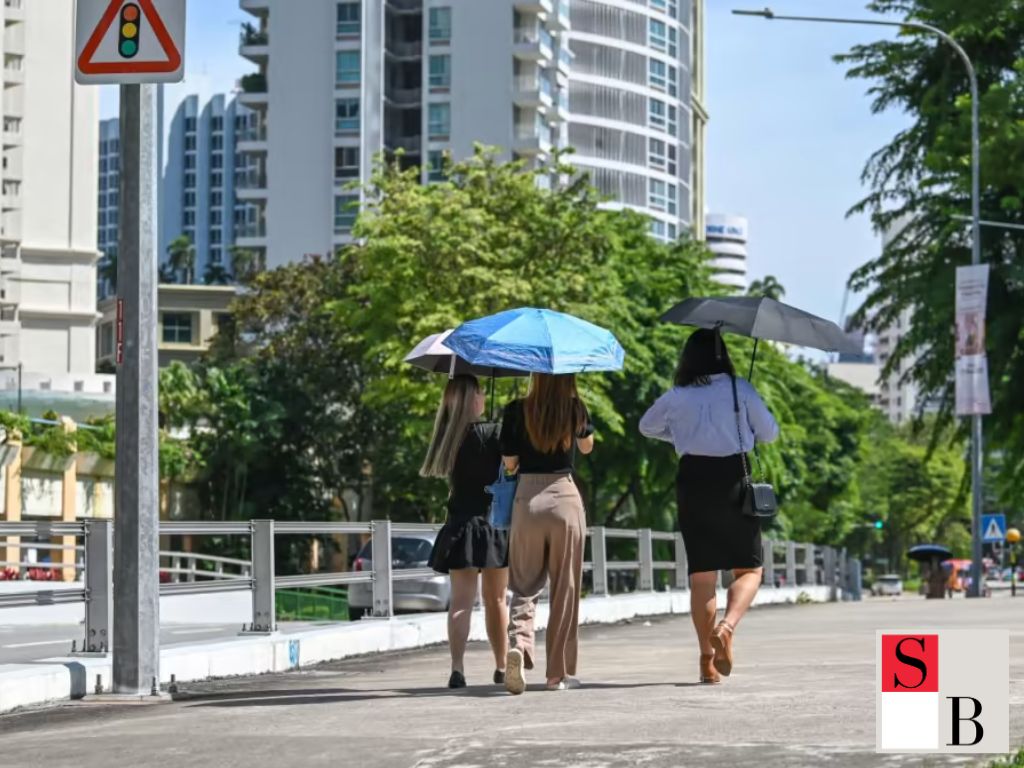 Understanding Intimate Health in Singapore’s Tropical Climate