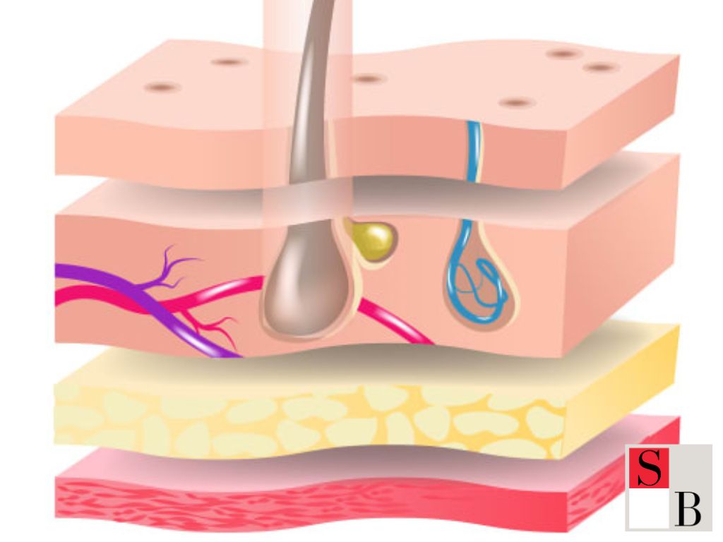 Laser Hair Removal vs Epilators: What Singaporeans Need to Know