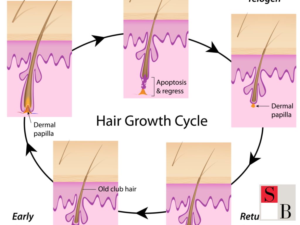 How Hair Removal Actually Works A Scientific Look at Singapore Skin Needs