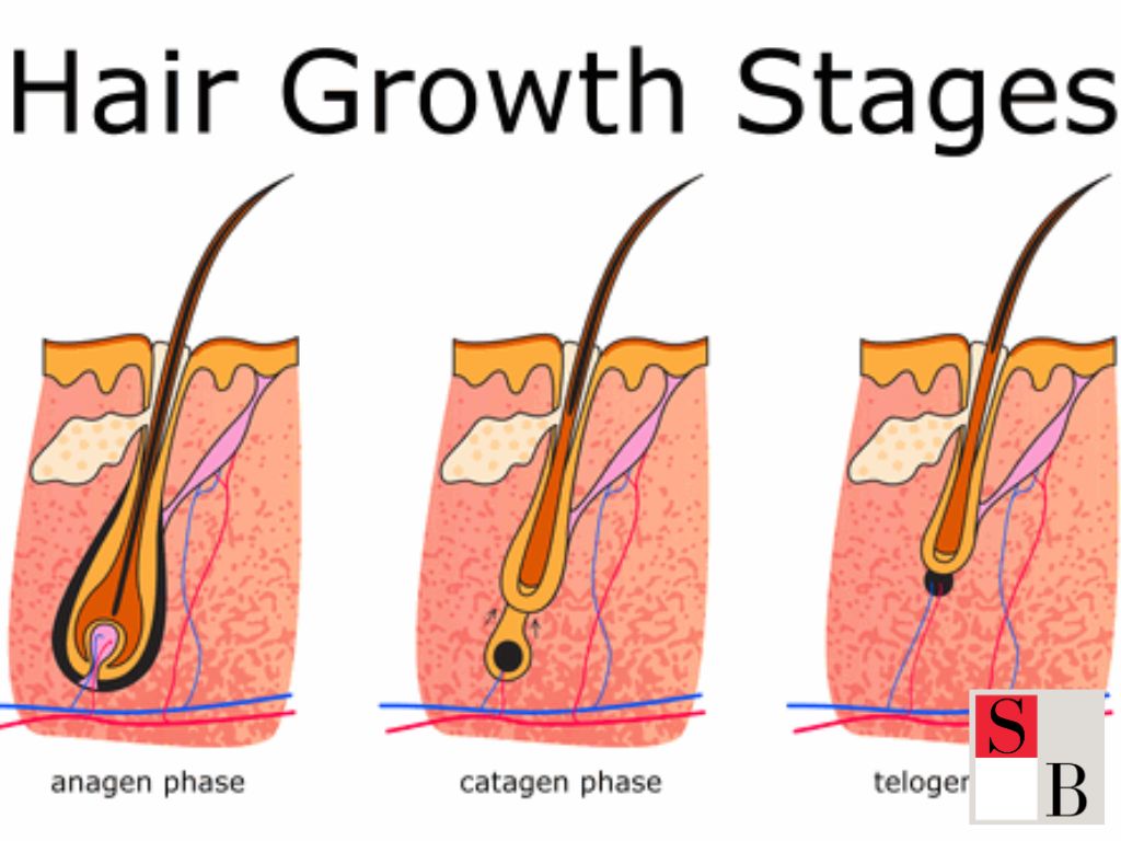 Understanding Long-Lasting Hair Removal in Singapore