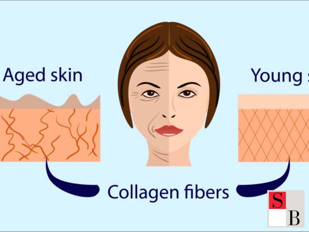 What Is Skin Elasticity and Why It Declines After 25