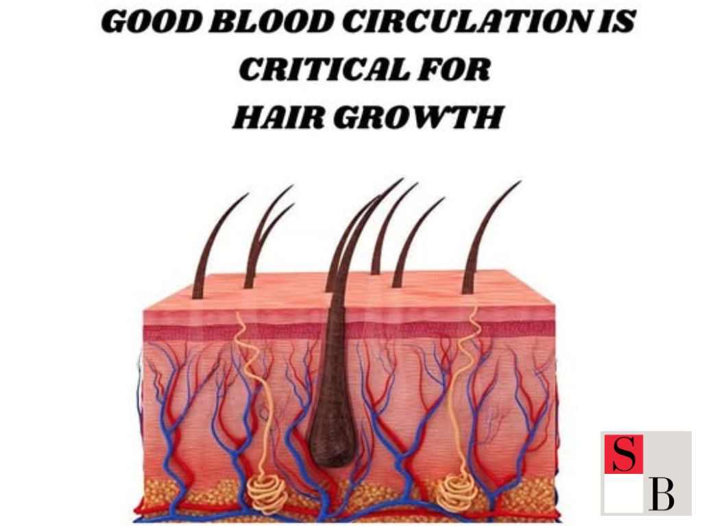The Role of a Healthy Scalp in Hair Growth
