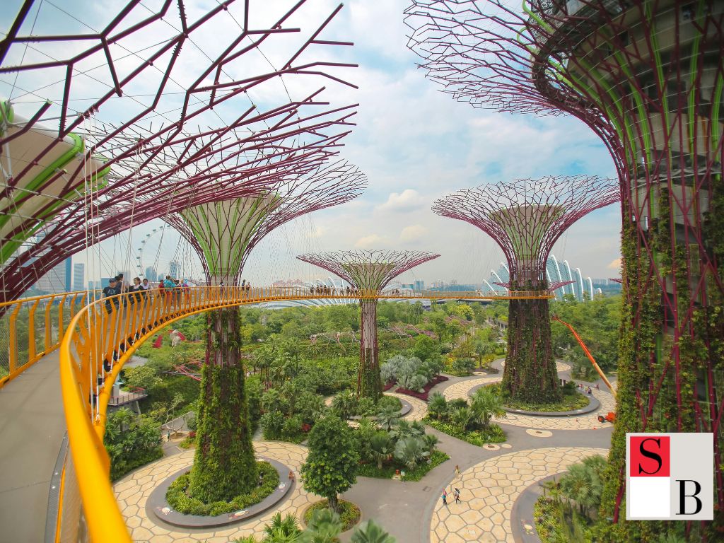 How Morning Skincare Sets the Tone in Singapore’s Tropical Climate