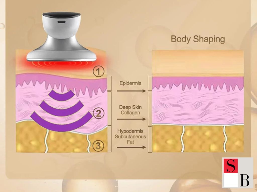 Understanding Multi-Modal Fat Loss in Singapore