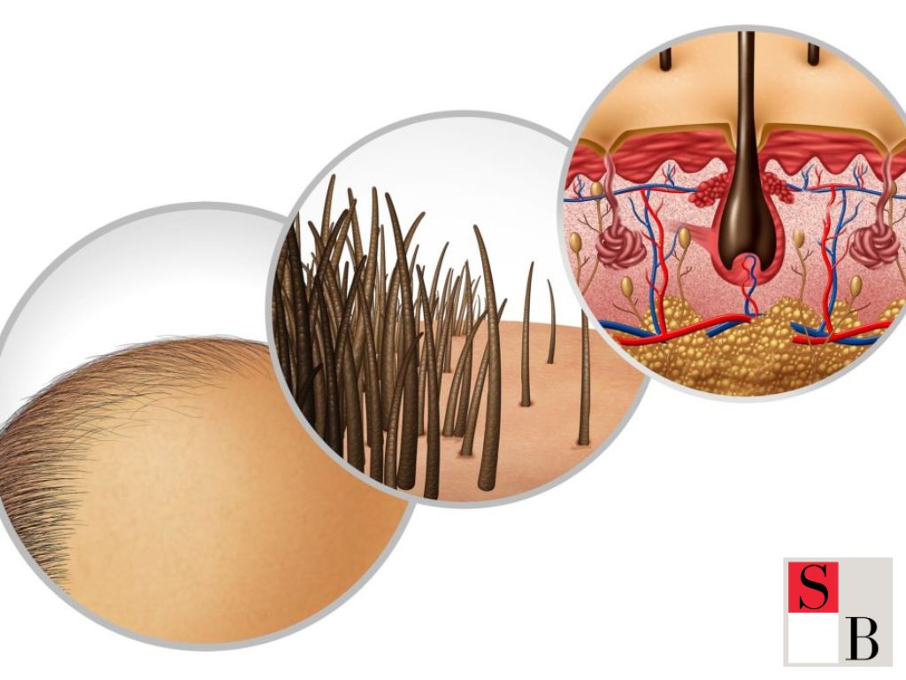 Scalp Health: The Foundation for Hair Growth