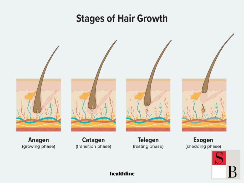 Hair Growth Timeline: Understanding Recovery in Singapore